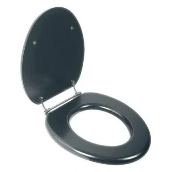Lefroy Brooks La Chapelle Black Seat With Chrome Hinges product image - Image 1