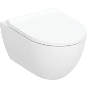 Geberit Acanto Wall Hung Pan And Soft Close Seat (rimfree)
