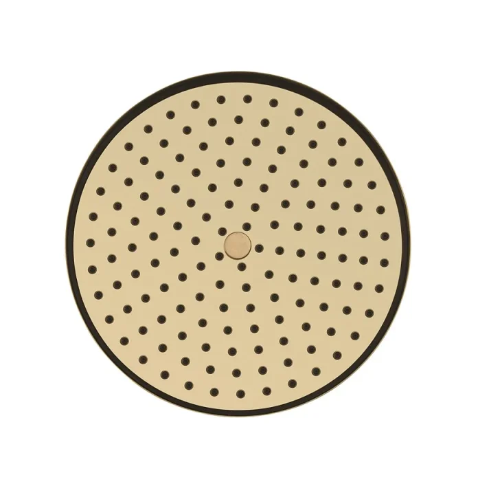 Crosswater MPRO Industrial Easy Clean Shower Head Brushed Brass Unlaquered detail view - Image 3
