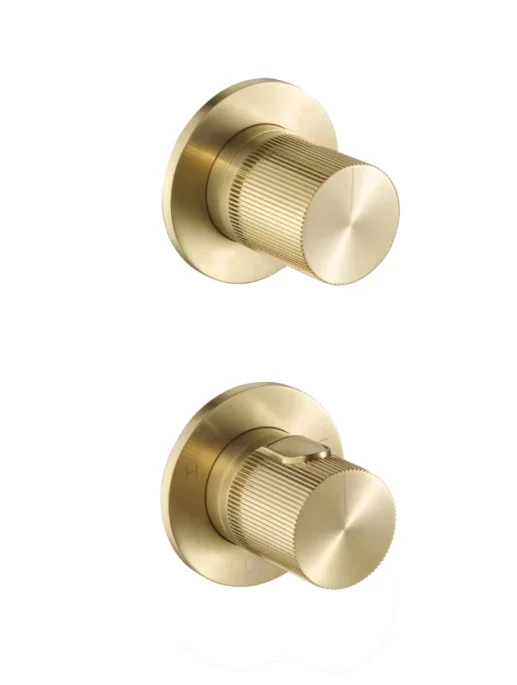 JTP EVO Modular Thermostatic concealed 2 outlet shower valve - Brushed Brass product image - Image 1
