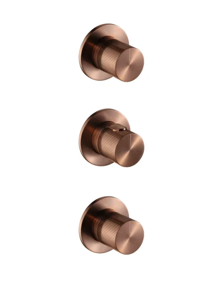 EVO Modular Thermostatic concealed 2 outlet shower valve