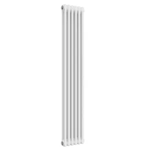 Reina Colona 1500 X 290 6 Section 2 Column Radiator