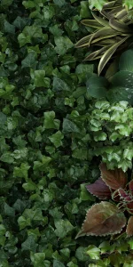 European Tiles Rainforest 50x100 3.5mm Rectified Tile - Piece A