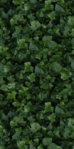 European Tiles Rainforest 50x100 3.5mm Rectified Tile - Piece E