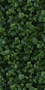 European Tiles Rainforest 50x100 3.5mm Rectified Tile - Piece E