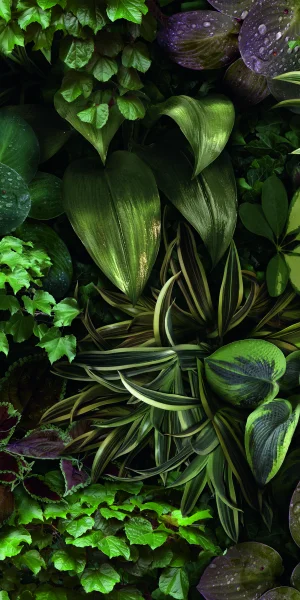 European Tiles Rainforest 50x100 3.5mm Rectified Tile - Piece B