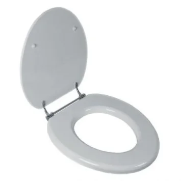 Lefroy Brooks Classic Gloss White Seat With Antique Gold Hinges