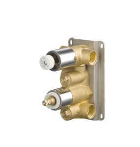 Saneux Shower Thermostatic Valve Body With 2 Outlets & 2 Holes - Brass