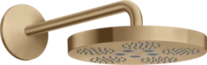 Axor One Overhead Showers 670 X 390 X 165mm Bronze - Brushed