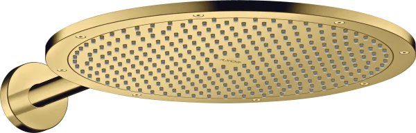 Axor Showersolutions Overhead Shower 350 1jet With Shower Arm Gold Polished