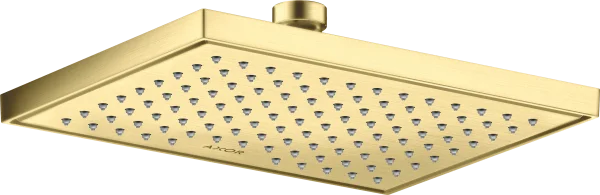 Axor Showersolutions Overhead Showers 283 X 265 X 91mm Brass - Brushed