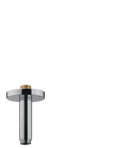 Hansgrohe Ceiling Connector 100 Mm Gold Polished