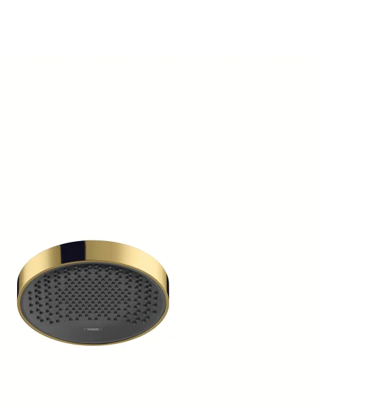 Hansgrohe Rainfinity Overhead Shower 250 1jet Ecosmart 9 L/min Gold Polished