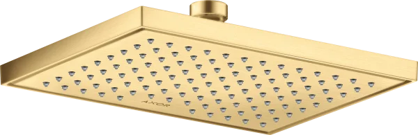 Axor Showersolutions Overhead Showers 283 X 265 X 91mm Gold - Brushed