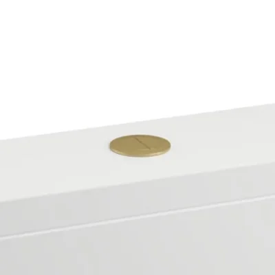 Britton Cistern Flush Button Brushed Brass