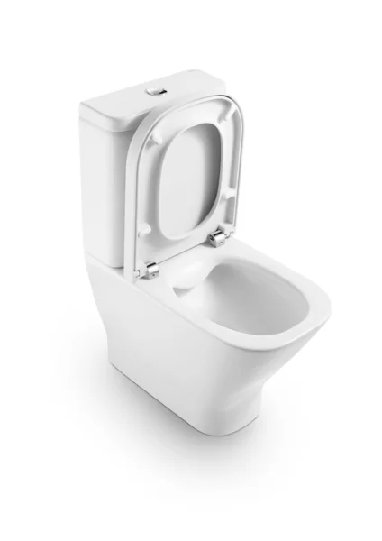 Roca The Gap Close Coupled Rimless Wc Pan - Back To Wall - Cut Out Included