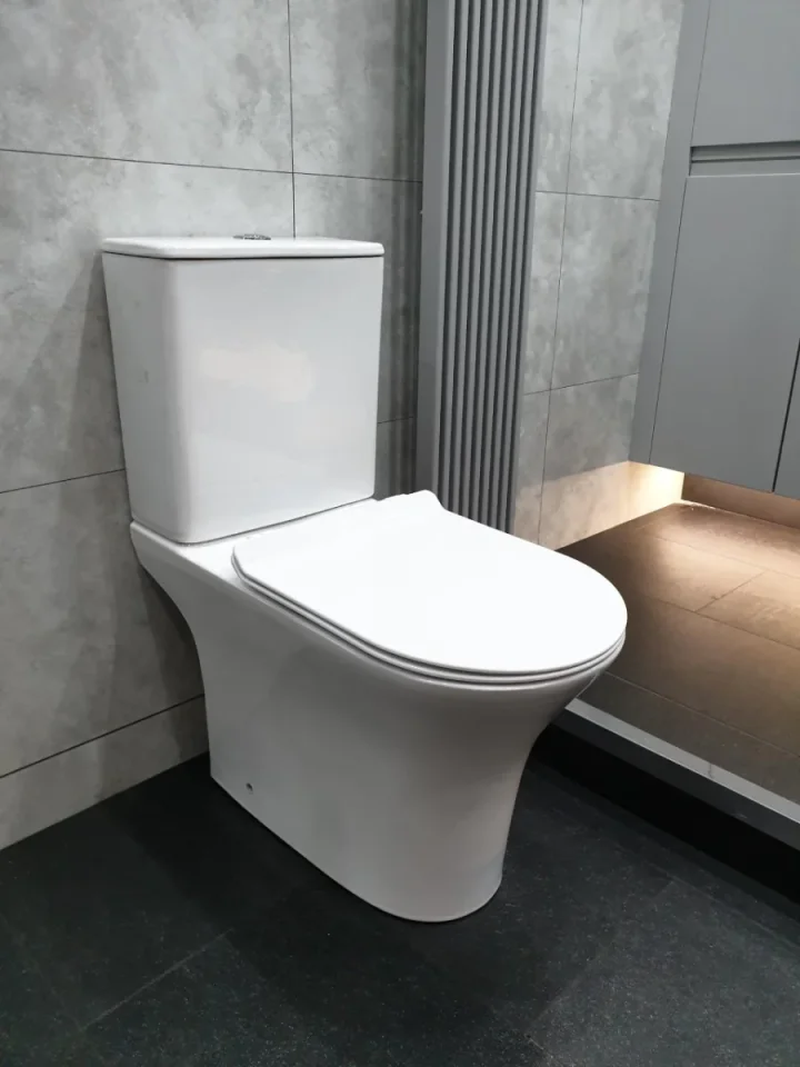 Cubico Cosmo Close Coupled Toilet With Pan, Cistern & Seat detail view - Image 2