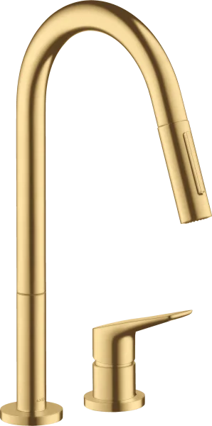 Axor Citterio M 2-hole Single Lever Kitchen Mixer 220 With Pull-out Spray Gold Brushed