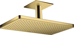 Axor Showersolutions Overhead Shower 460/300 1jet With Ceiling Connection Gold Polished