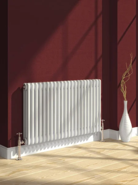 Reina Colona 500 X 1010 22 Section 2 Column Radiator