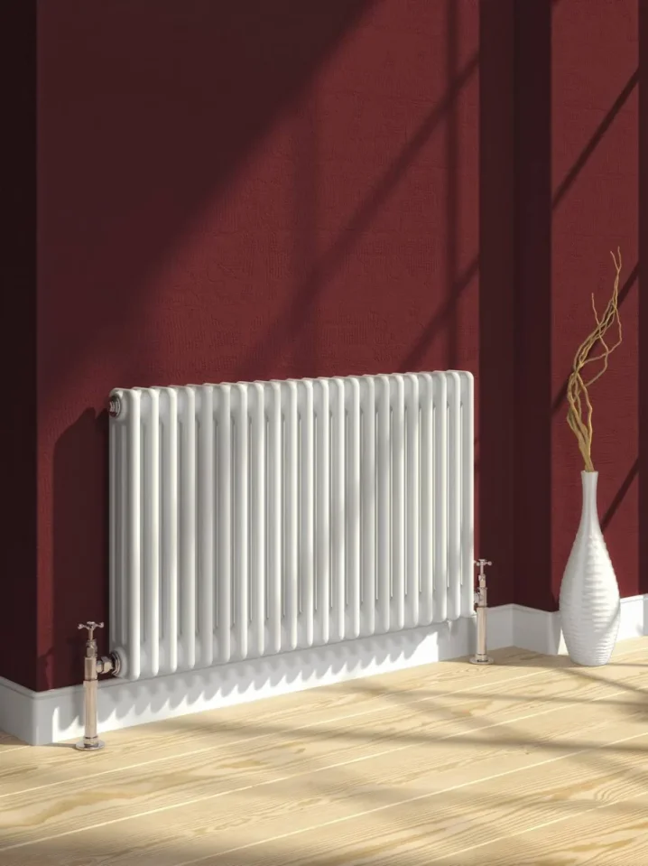Reina Colona 500 X 1010 22 Section 2 Column Radiator product image - Image 1