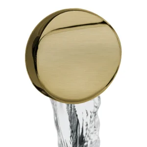 Bc Designs Overflow Filler & Push Down Waste Brushed Gold