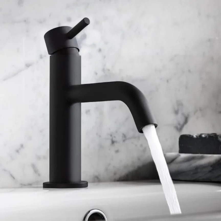 Basin Monobloc Taps
