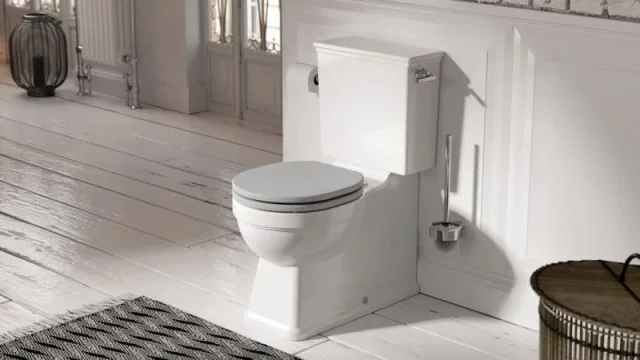 Saneux Sofia Close Coupled Toilet with Rimless Pan, Cistern and Soft Close Seat (Colours Available) - Image 4