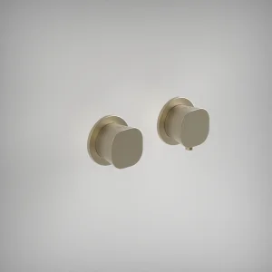 Ava Purity 1 Way 2 Handle Thermostatic Valve W/ Flanges - Brushed Brass